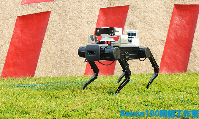 Quadruped robot